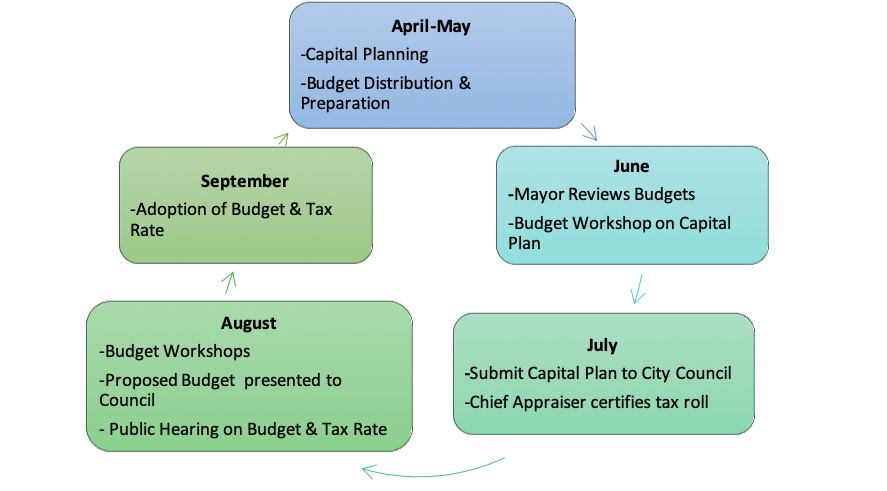 budget and life cycle plan template